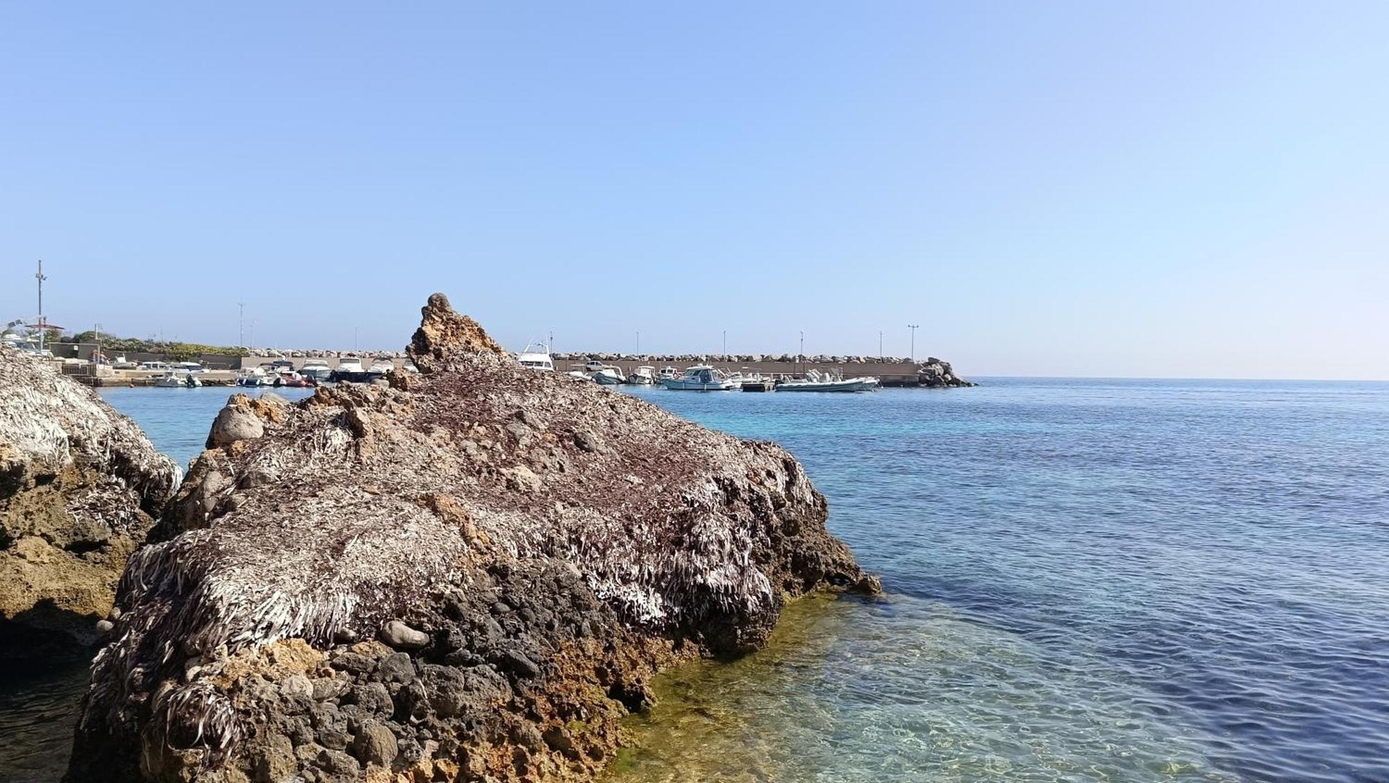 La Terrazza Sul Mare Camera Vicino Aereoporto&Mare Sicilian Vintage Style Seaside Room ชีนิซี ภายนอก รูปภาพ